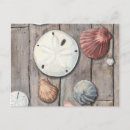 Search for teal background postcards Shell