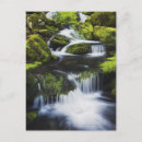 Search for stream photography Outdoors