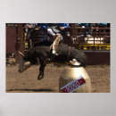 Search for steer art Rodeo