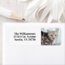 Search for cute kitten return address labels Animal