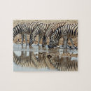 Search for zebra puzzles Landscape