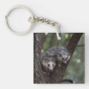 Search for possum key rings Wildlife