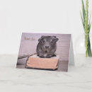 Search for guineas cards Adorable