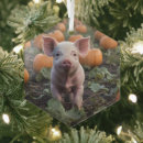Search for pigs christmas tree decorations Animal