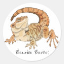 Search for pet reptile stickers Beardie
