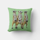 Search for meerkat cushions Suricata