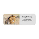 Search for lion return address labels Modern
