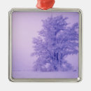 Search for spokane christmas tree decorations White