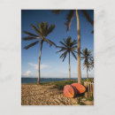 Search for st kitts and nevis postcards Beach