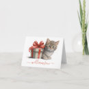 Search for kittens note cards Cute