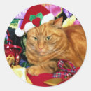 Search for cats wearing hats stickers Santa