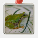 Search for frogs christmas tree decorations Green