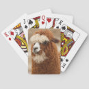 Search for alpaca playing cards Cute