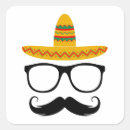 Search for funny cinco de mayo stickers Party