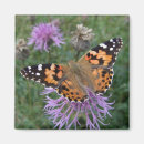 Search for macro magnets Garden