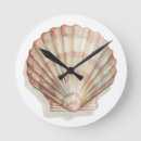 Search for seashell clocks Shells