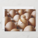 Search for baby chick thank you cards Cute baby animal