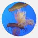 Search for aquatic life stickers Wildlife