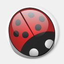Search for ladybug magnets Kids