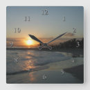 Search for island time clocks Palm trees