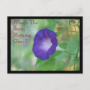 Search for glorys postcards Morning