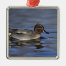 Search for river christmas tree decorations Swimming