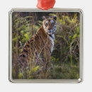 Search for bengal cat christmas tree decorations Wildlife