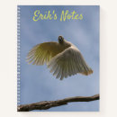 Search for blue sky notebooks Bird
