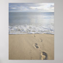 Search for footprints in the sand art Outdoors