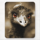 Search for looking up mousepads Photography