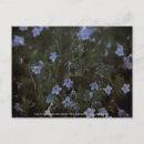 Search for grace postcards Flowers