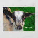 Search for parodies postcards Parody