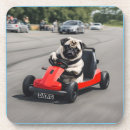 Search for pug coasters Animal