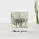 Search for vintage reindeer cards Nature