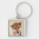 Search for shiba inu key rings Puppy