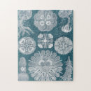 Search for coastal puzzles Sealife