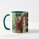 Search for endangered animals mugs Borneo
