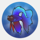 Search for pet fish stickers Kawaii