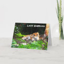 Search for amur cards Tiger