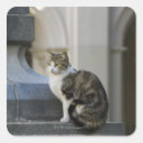 Search for structure stickers Horizontal