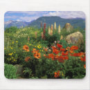 Search for nancy mousepads Jaynes gallery