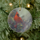 Search for cardinal christmas tree decorations Nature