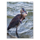 Search for food chain posters Water