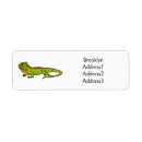 Search for green iguana return address labels Lizard