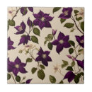 Search for clematis Elegant