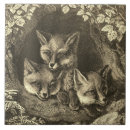 Search for fox tiles Woodland