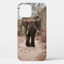 Search for black elephant iphone cases Wild
