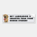 Search for yellow lab bumper stickers Retrievers
