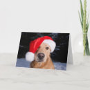 Search for puppy christmas cards Winter