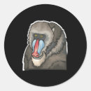 Search for baboons stickers Ape